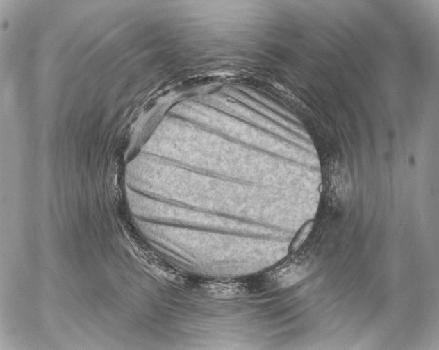 X0000053080615200508081247