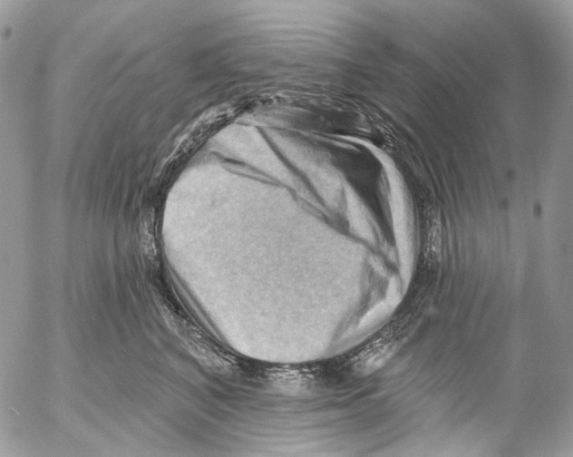 X0000053080616200508081247