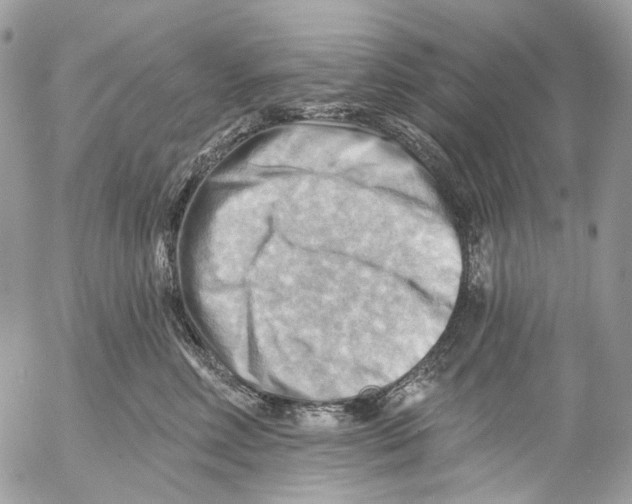 X0000053080618200508081247