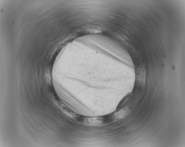 X0000053080622200508081247