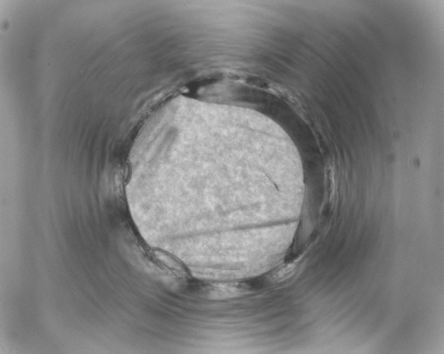 X0000053080623200508081247