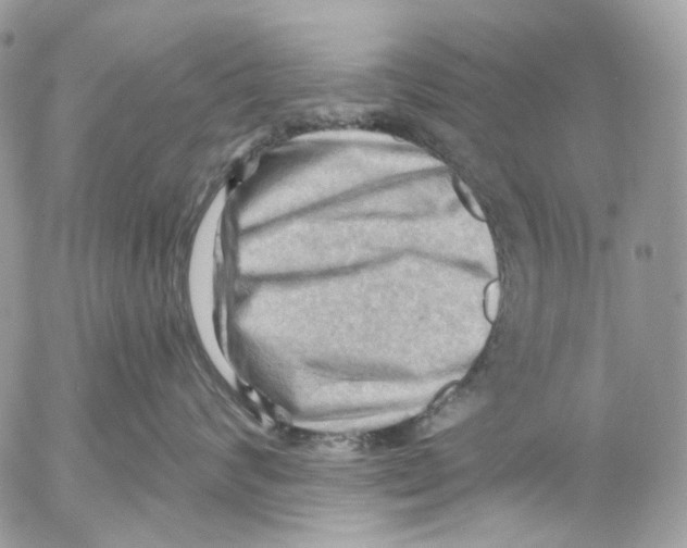 X0000053080624200508081247