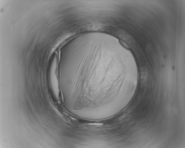 X0000053080626200508081246