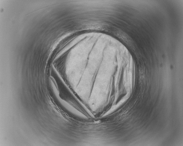 X0000053080628200508081246