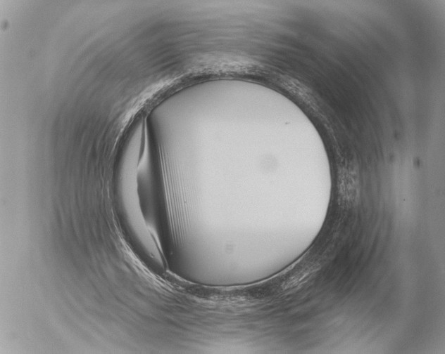 X0000053080629200508081246