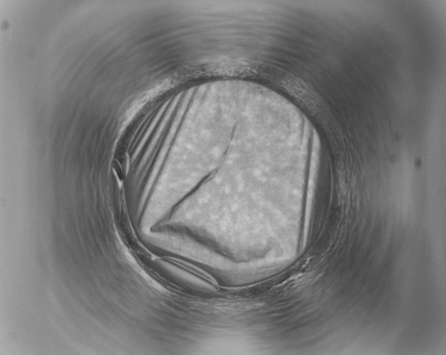 X0000053080630200508081246