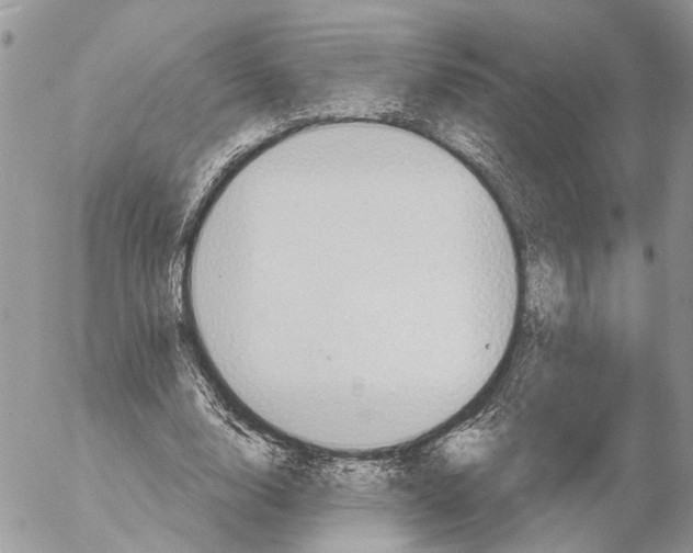 X0000053080632200508081246