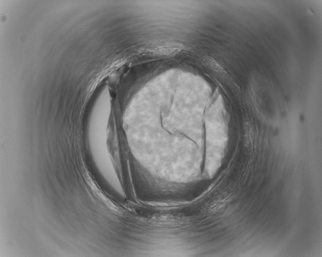 X0000053080634200508081246