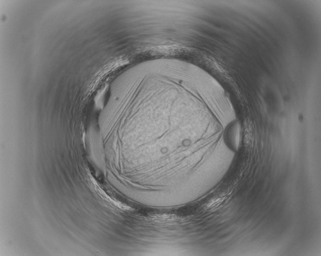 X0000053080637200508081246