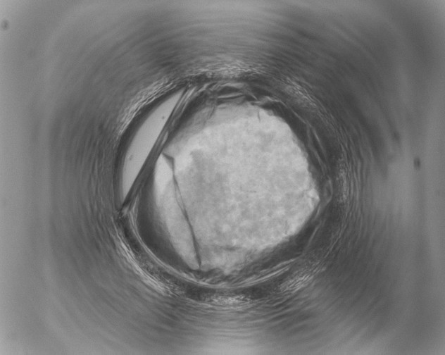 X0000053080638200508081246