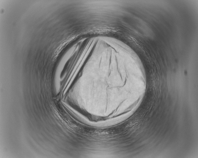 X0000053080640200508081246