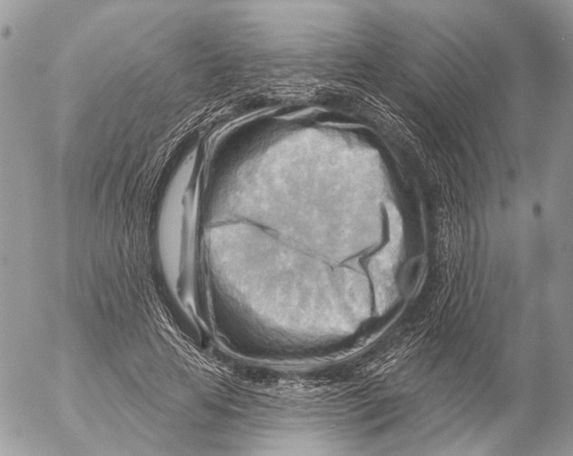 X0000053080641200508081246