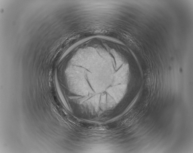 X0000053080643200508081246