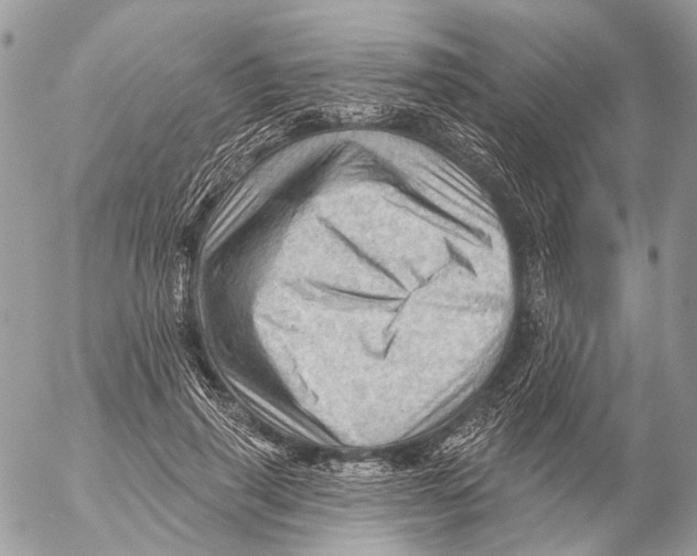 X0000053080645200508081246