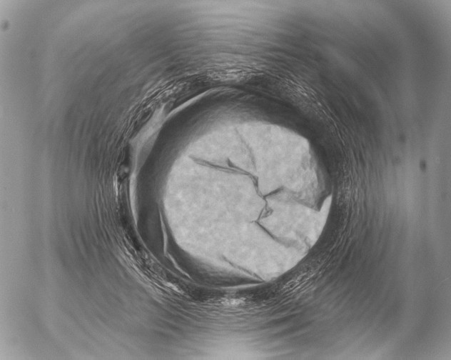 X0000053080647200508081246