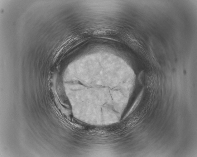 X0000053080648200508081246