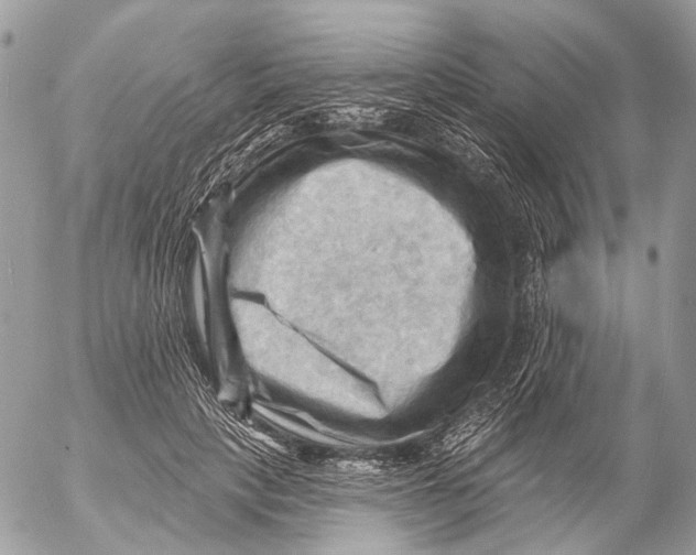 X0000053080649200508081246