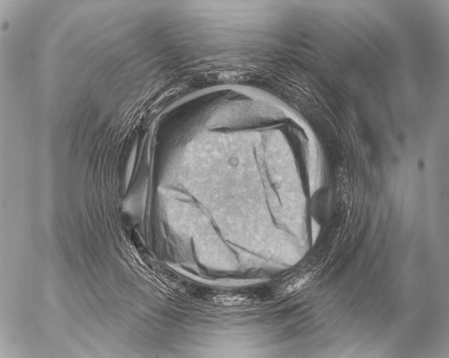 X0000053080650200508081246