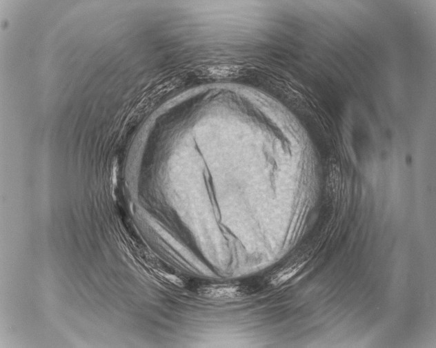 X0000053080651200508081246