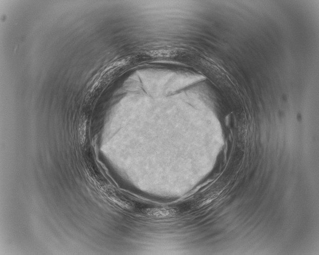 X0000053080652200508081246