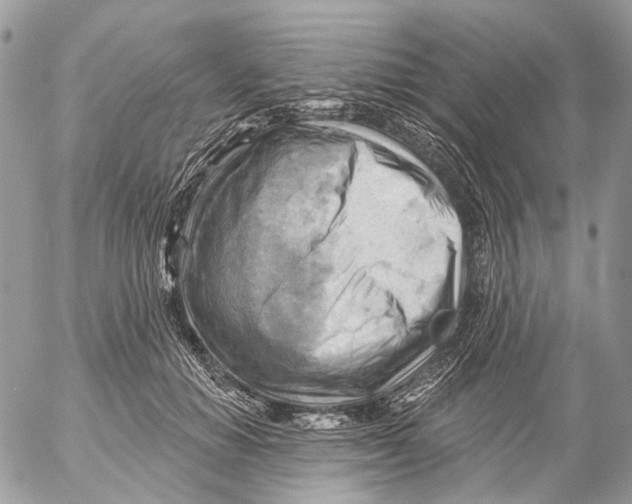 X0000053080654200508081246