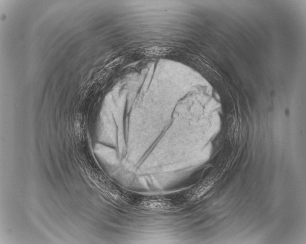 X0000053080655200508081246