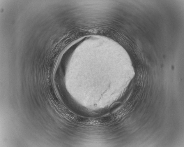 X0000053080656200508081246