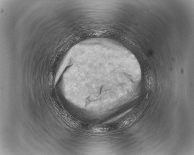 X0000053080657200508081246