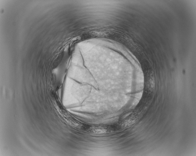 X0000053080658200508081246