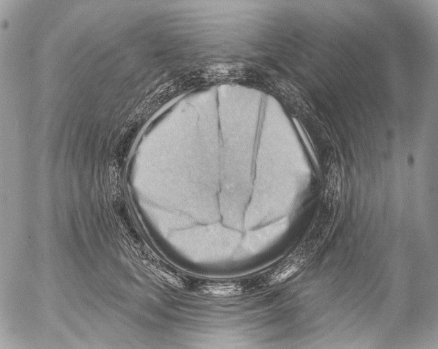 X0000053080659200508081246