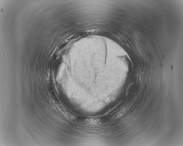 X0000053080660200508081246