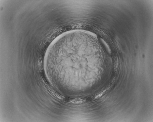 X0000053080661200508081246