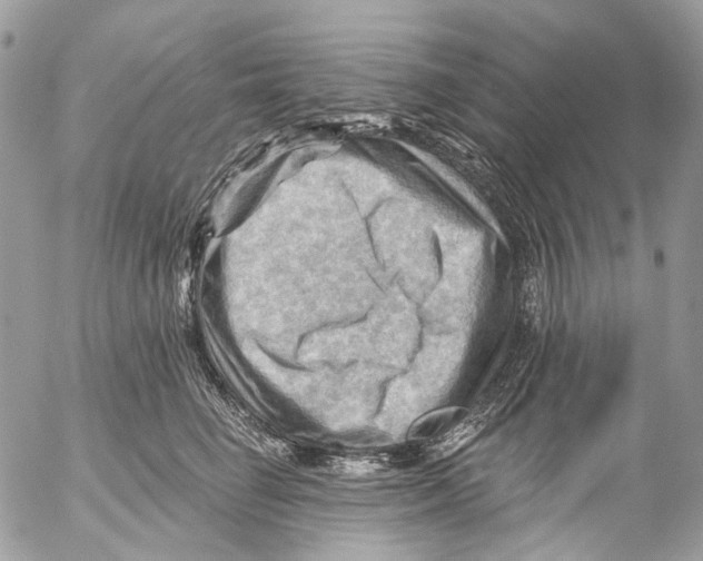 X0000053080662200508081247