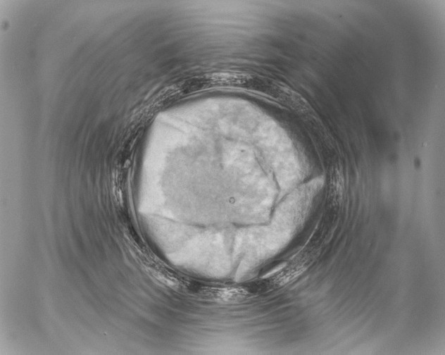 X0000053080663200508081247