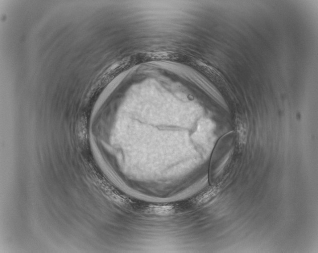 X0000053080665200508081247