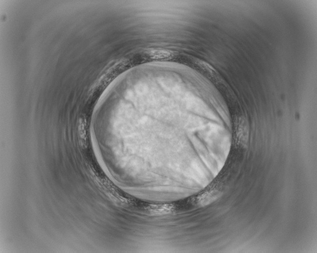 X0000053080667200508081247