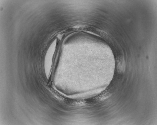 X0000053080668200508081247