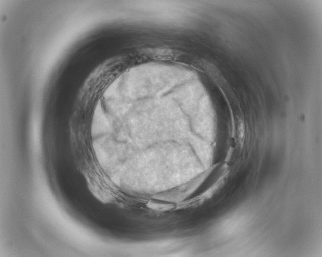 X0000053080671200508081247