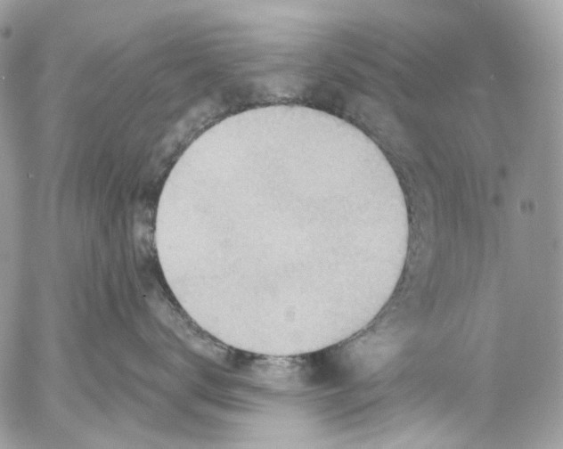 X0000053080672200508081247