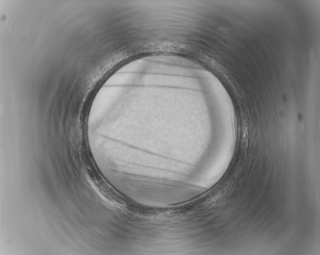 X0000053080674200508081246