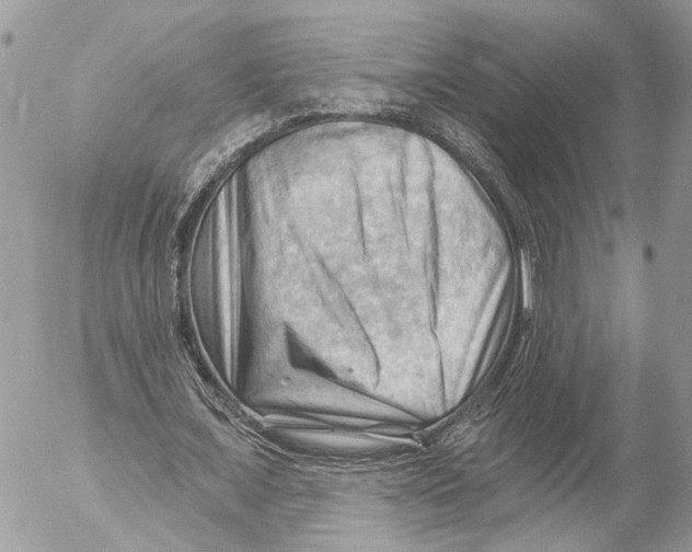 X0000053080675200508081246