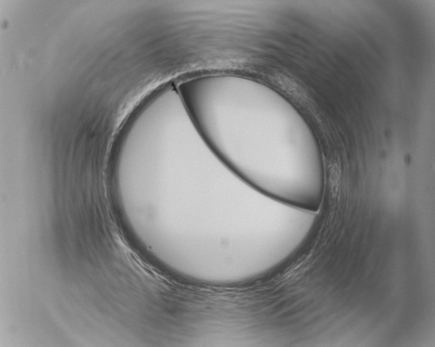 X0000053080676200508081246