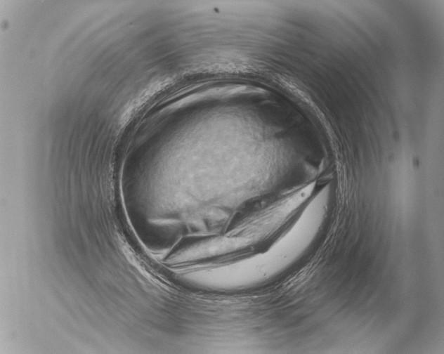 X0000053080677200508081246