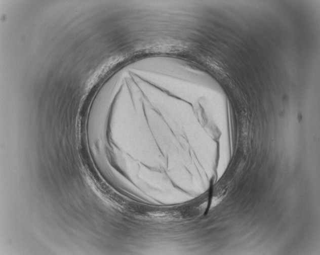 X0000053080678200508081246