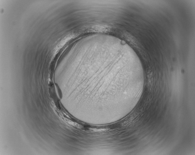 X0000053080679200508081246