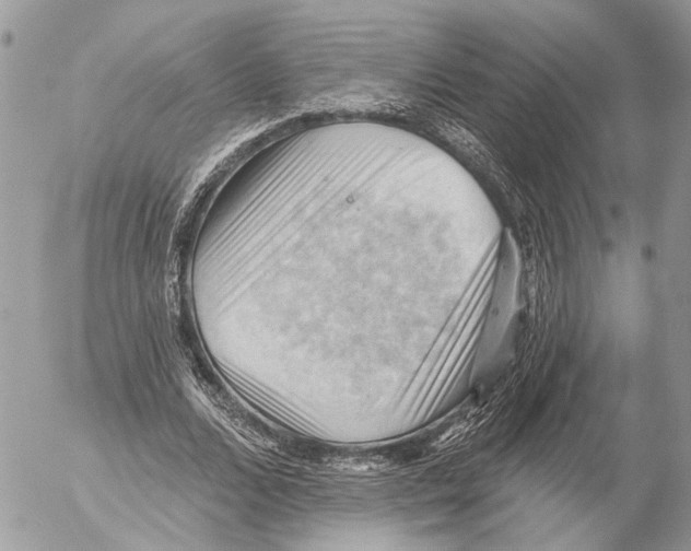 X0000053080680200508081246