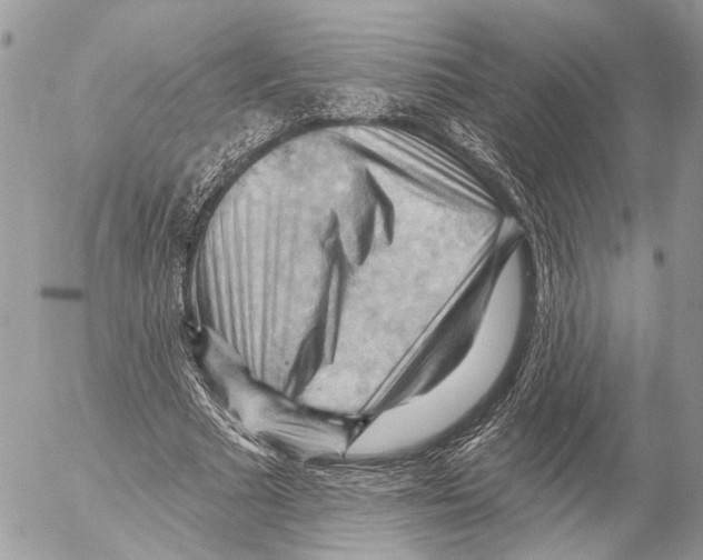 X0000053080681200508081246