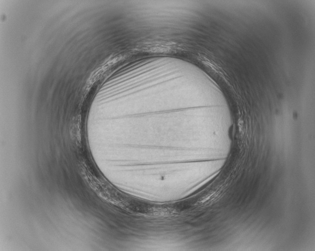 X0000053080682200508081246