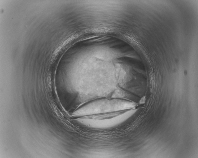 X0000053080684200508081246