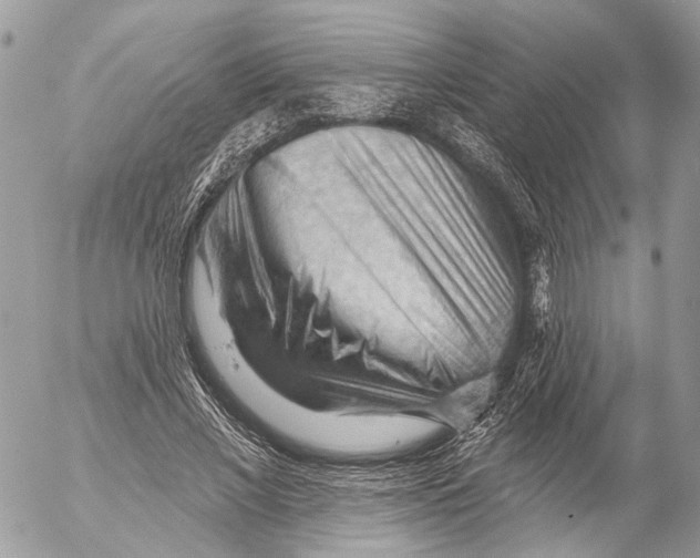 X0000053080685200508081246